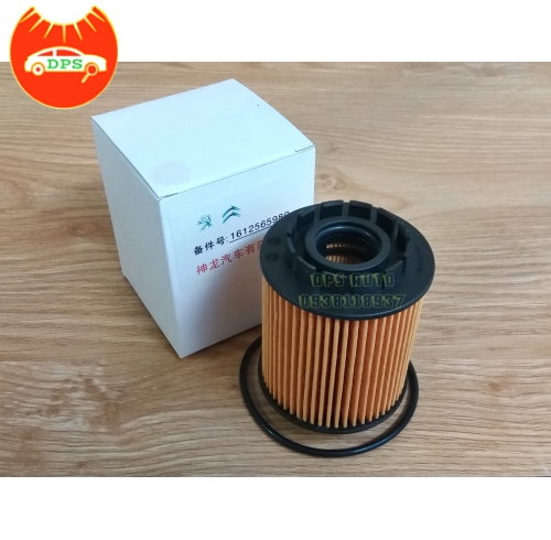 Lọc nhớt Peugeot 5008 mã số 1612565980